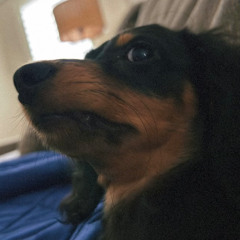 D4VE D4VE D4VE Hard Techno Mix 1