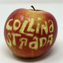 COLLINA AW25 MUSIC