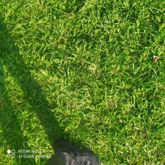 kirkiimad - Ily (Sparta Remix, Tik Tok) By @b.o.l.e