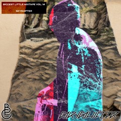 Biggest Little Mixtape Vol. 14: Skyshifter