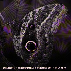 InsideInfo - Metamorphosis X Document One - Holy Moly (Mashup)