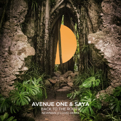 Back To The Roots (Newman (I Love) Extended Remix)