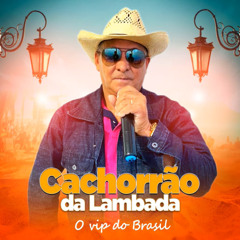 Macumbeiro