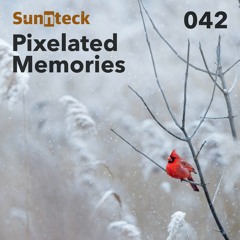 Pixelated Memories 042
