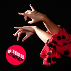 Programa - 2025/07/26