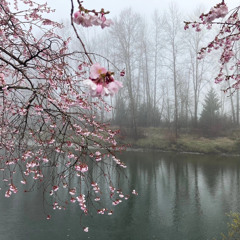 hyó x quri - 良心