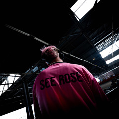 SEE ROSE - So shy