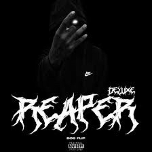 Bos Flip Beggin (Intro)