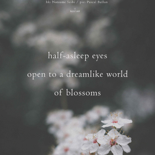 SONG 120 - NaviarHaiku611 - Half Asleep Eyes