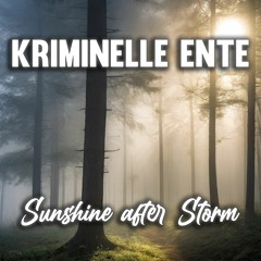 Sunshine after Storm