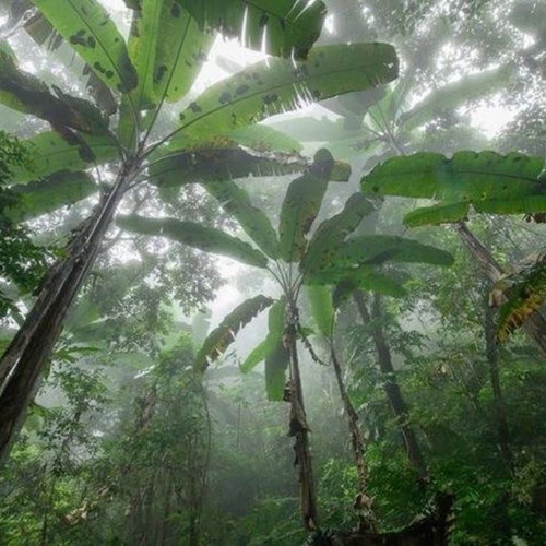 yuliy - days gone [lovegravity]