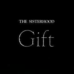 Rain From Heaven (The Sisterhood Instrumental cover version)