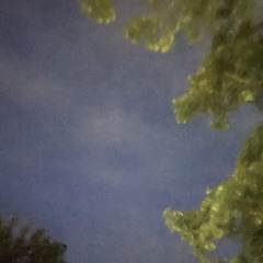 High hgiH
