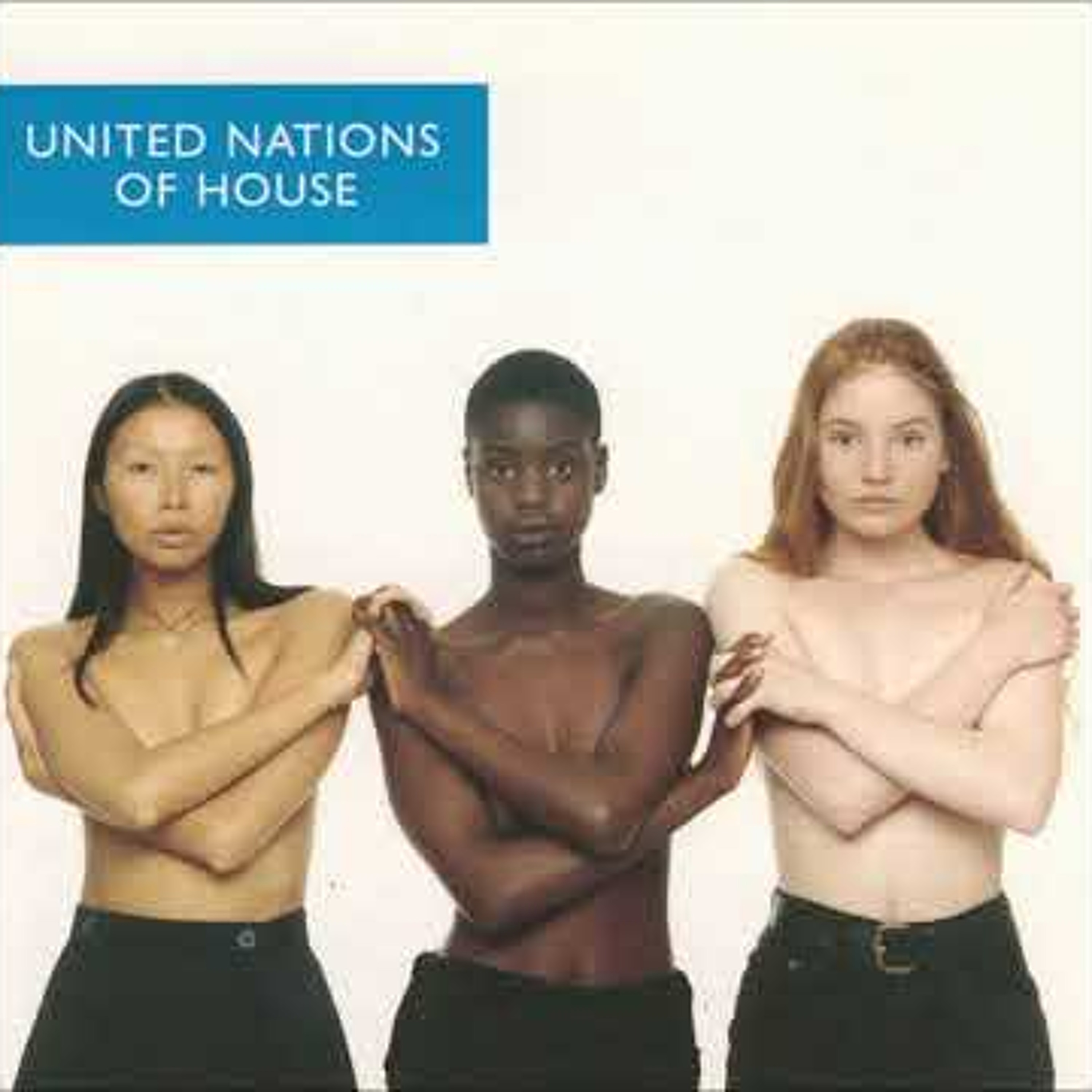 United Nations Of House Graeme Park 1994 episode artwork