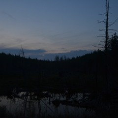 D0llywood1 - Istillmissu (Black Metal Cover)