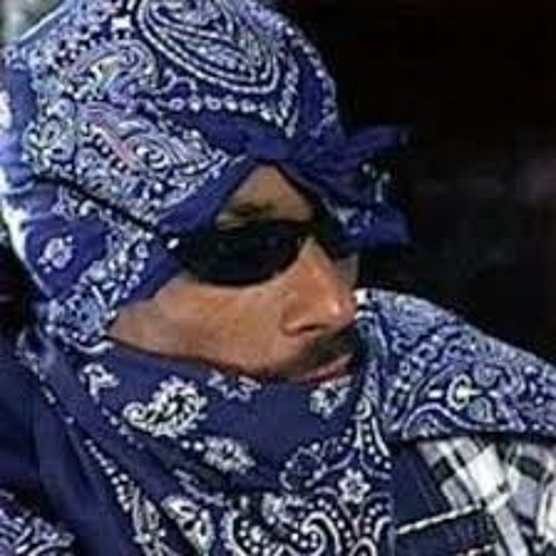 Toker Brownside - Dodger Blue