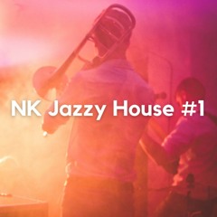 NK Jazzy House #1