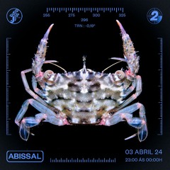 ABISSAL #02 | FUNGI