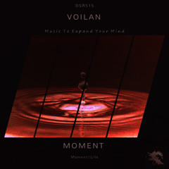 DSR515 | Voilan - Moment (Original Mix)