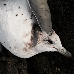 (fauxgazi- rough sketch) slow moving train wreck