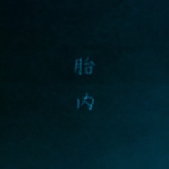 Womb