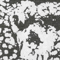 MINUS (TERRE : EXTRAIT)