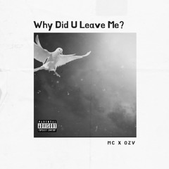 Why did u leave me? (Feat. OZV)