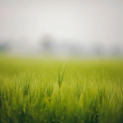 Cloudy, background cover DOWNLOAD