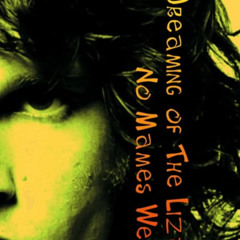 Dreamig Of The Lizard King .- No Mames Wey!