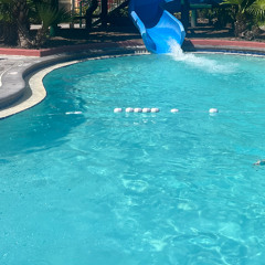 blue (1)