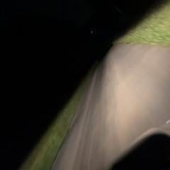 i think funky frank took acid at gerald’s