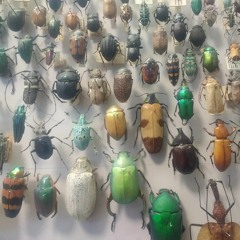 Relax! This Will All Be Over Soon Master