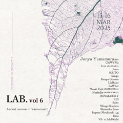 LAB. vol 6 2025.03.15 RIII