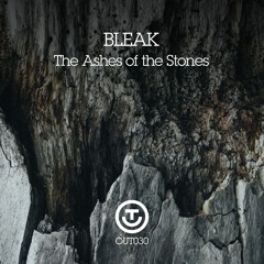 Bleak - The Ashes Of The Stones_ Snippets