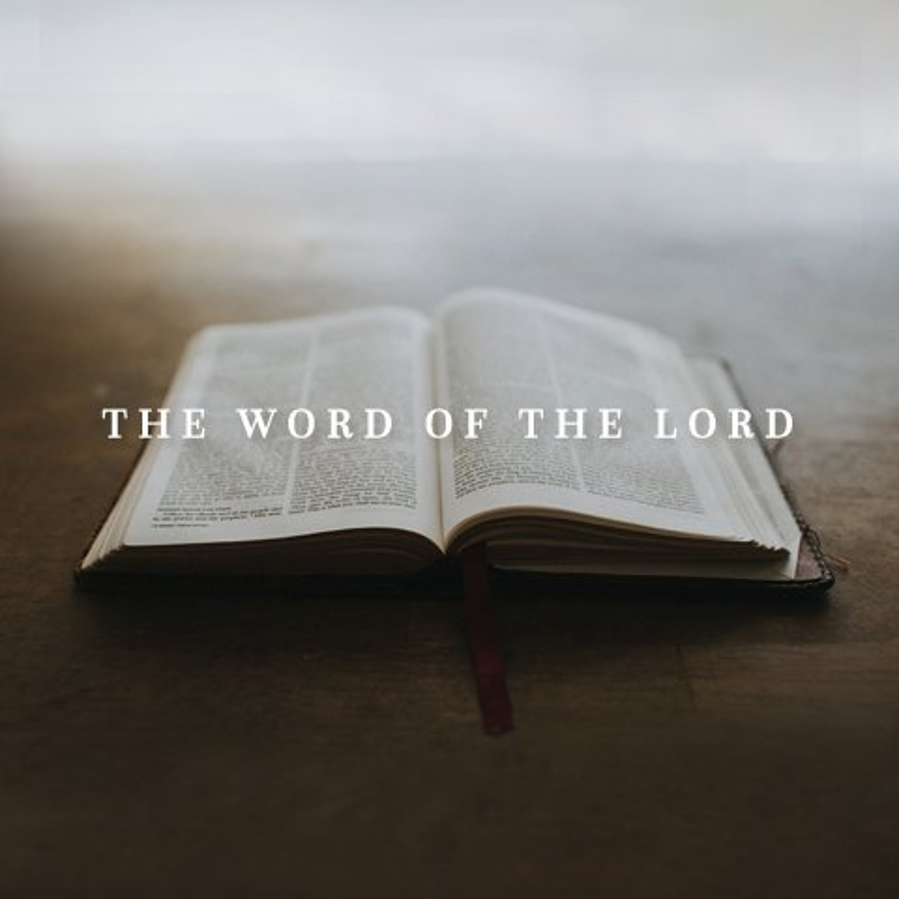 08 16 2026 - Romans 11_1-2a, 29-32 episode artwork
