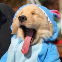 Troi Giau Troi Mang Di - Tuso x Ben x Vietj