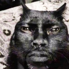 ШКОЛЬНИК x mylancore