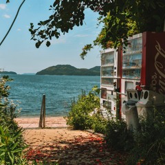 Chill Out/ Downtempo