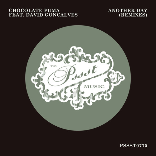 Stream Chocolate Puma featuring David Goncalves - Another Day (Extended  Deep Mix) by Chocolate Puma | Listen online for free on SoundCloud