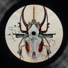 A1 - 69db - HIP or SICK