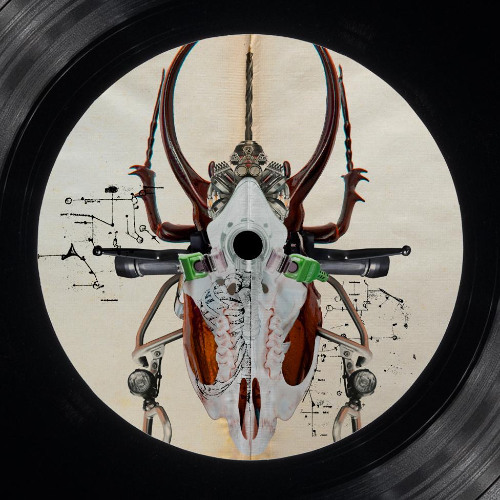 A1 - 69db - HIP or SICK