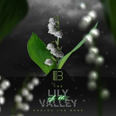 Brandon Chapa - Lily Of The Valley