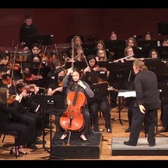 Rancor and Triumph: Concerto for Cello and Orchestra - Excerpt 1