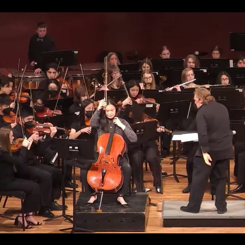 Rancor and Triumph: Concerto for Cello and Orchestra - Excerpt 2