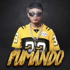 Fumando