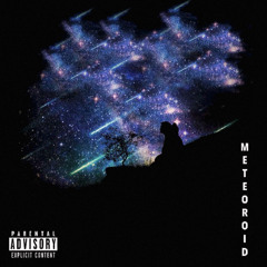 Meteoroid(Fallen Star)