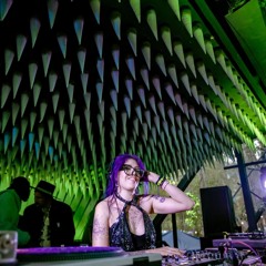 Guest DJ Mixes and Features