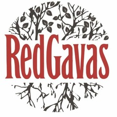 Mr Gavas