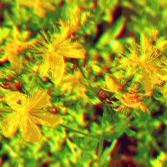 ZazemZazem - Formant Flashbacks