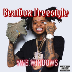 YWB Windows - Beatbox Freestyle